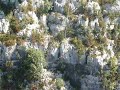 my jump from the bridge in grand canyon du verdon