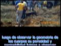 sedimentology