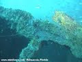 SCUBA Diving the San Pablo in Pensacola Florida