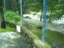 albercas del el rio verde inundadas