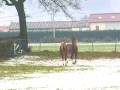 videos de P1130009.MOV