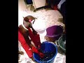 kany diallo kany diallo