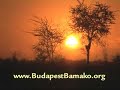 budapest bamako 2009   the adventure continues