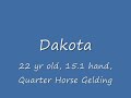 Dakota122809.avi
