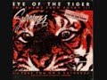Eye Of The Tiger- By Survivor