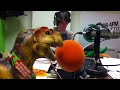 Scrúdú Cainte le T-Rex beo ar Raidió na Life 106.4FM