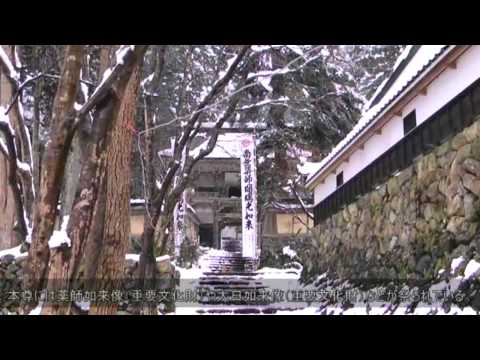 ͬ����Į ��ξ������¢����