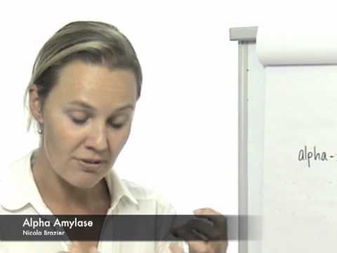 how to isolate alpha amylase