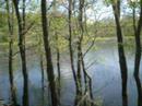 Hiking a North Texas Wetland Trail with Gurdonark