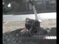 Lucha con Gallin en Barrio Marina