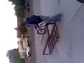 shark en Bmx