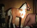 Breyer foal care