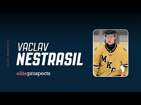 Vaclav Nestrasil 2024/2025 Season Highlight