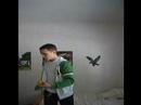 Juggling with 5 balls