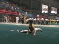 ??? ditan quan wushu kung fu ??? ditan quan wushu kung fu
