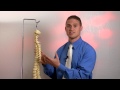 Chiropractic Care