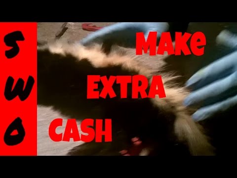 how to collect skunk essence