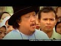 Hidup Sehat Bersama Unggas