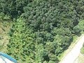 My Bungy Jump at Vitinia, Bulgaria