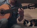 Learn Vicente Amigo\