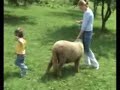 Pasul Rucar-Bran Fundata Romania 2007