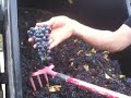 Red Newt Reality: Brandon's Cabernet Sauvignon workout.