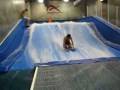Adrenalina Miami: Priam Twist Atempt