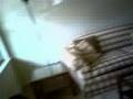 Apartment Tour (Room Tour Part Deux)