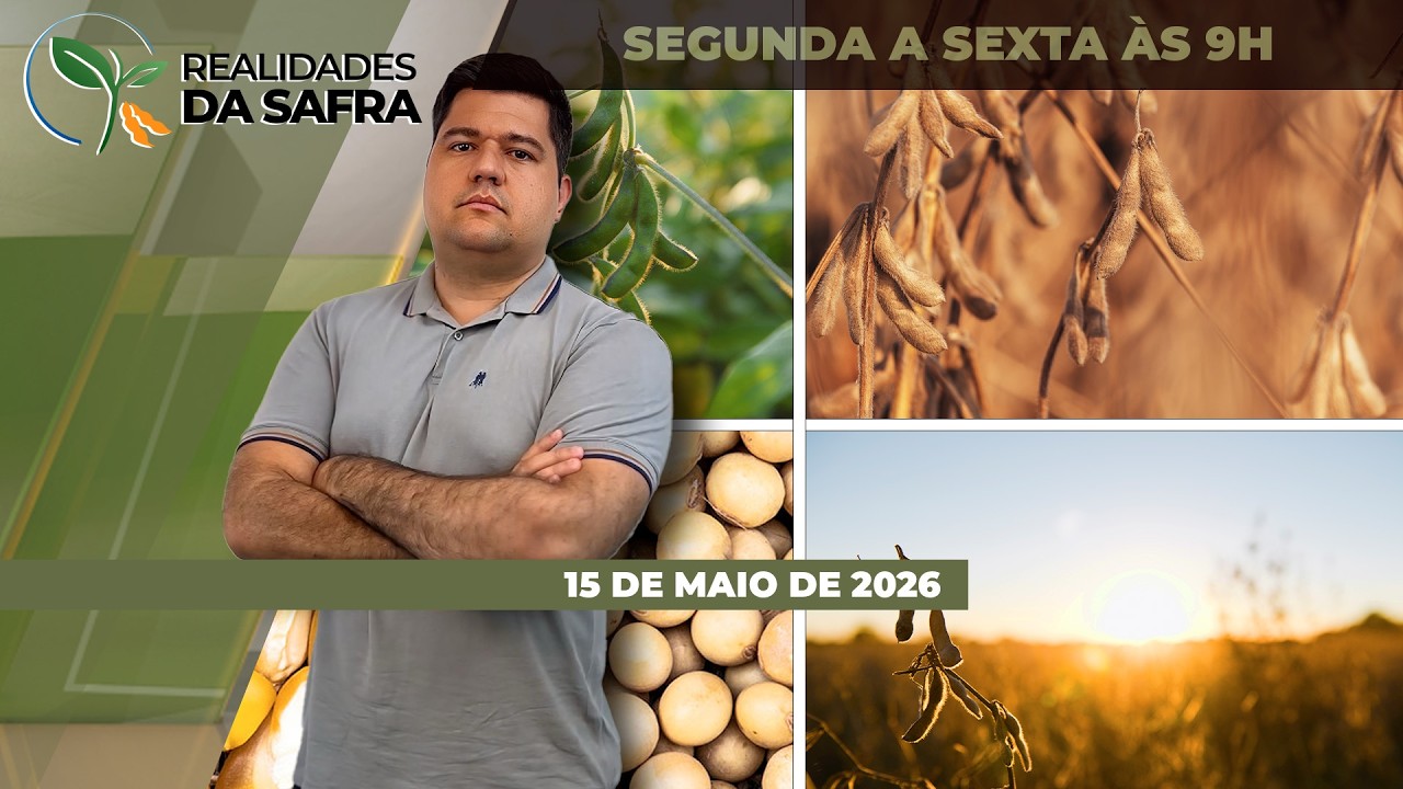 REALIDADES DA SAFRA - EDIÇÃO 15/05/2026