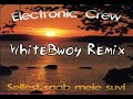 electronic crew   sellest saab meie suvi  whitebwoy remix 