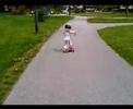My Lil Scooter Girl