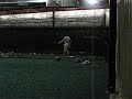 Wisconsin Baseball Academy