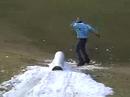 Snowboarding B Footage