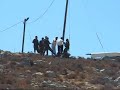Settler attacks Palestinian farmer in Samoa, West Bank