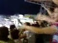 Bursa-Denizli 4 (Kar??l?kl? Bursaspor oley) Bursa-Denizli 4 (Kar??l?kl? Bursaspor oley)