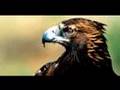 GAIA  --  Mother Earth   ( Föld anyánk )