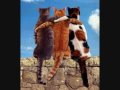 chat m'va bien
