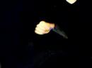 Pen Spaineing Pen Spaineing