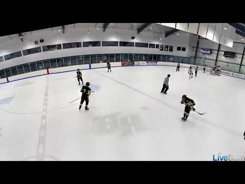 Joining the Rush Defense/Breakaway Goal