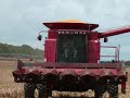 Corn Harvesting Part 1