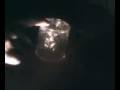 videos de weegi board again