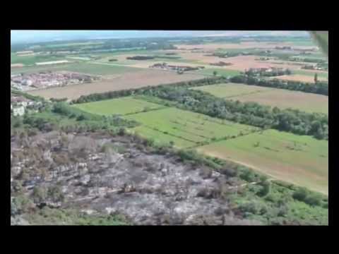 Vedi il video