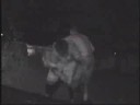 Tommy Kobryn vs. Ryan Brodie - I Quit Match part 3