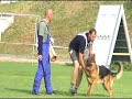 Schutzdienst Schäferhund Schutzdienst Schäferhund
