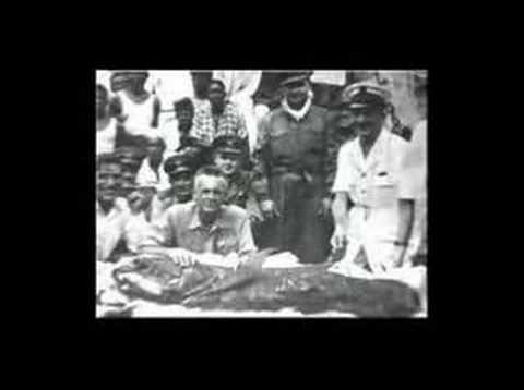 Il Celacanto