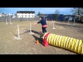 Piper Agility 2