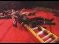 IWS 6-way ladder match music video