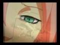 Naruto Hero/Heroine