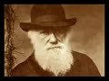 Zoology Proves God Exists - Atheists Wake up - Islam is the Truth 4/4