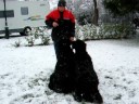 Umpa  Ulysse dans la neige